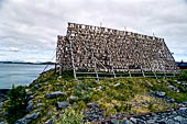 Le isole Lofoten Norvegia. Merluzzi a seccare nei pressi di Henningsvaer (Austvagoya). 